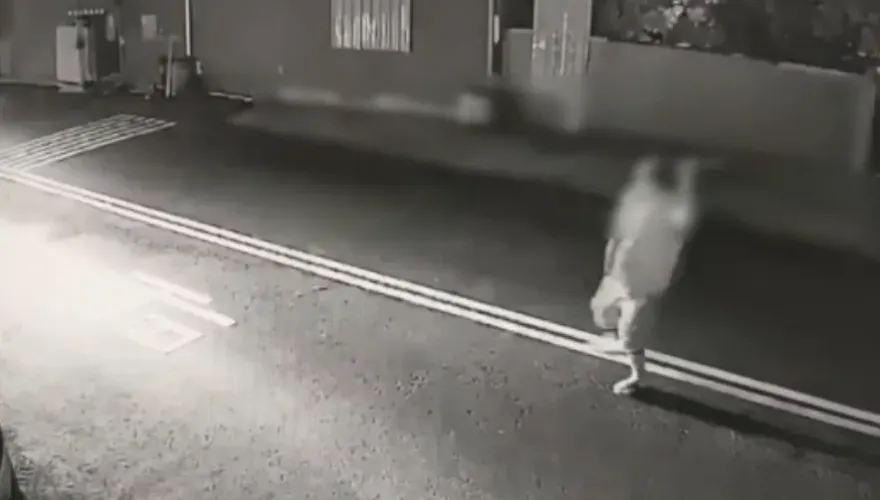 影/台中鐮刀怪客暗夜劈毀7車！有再犯之虞　警建請檢察官聲押