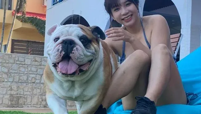 AV女優吳夢夢愛犬搭車「掉毛、流口水」　司機怒告「毀損罪」！