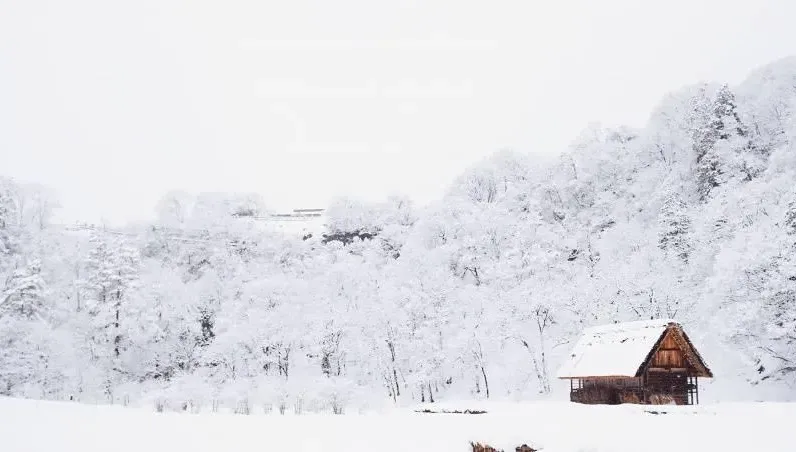 12/7迎大雪！命理師揭6大禁忌「棉被蓋頭」恐影響運勢　7習俗曝光