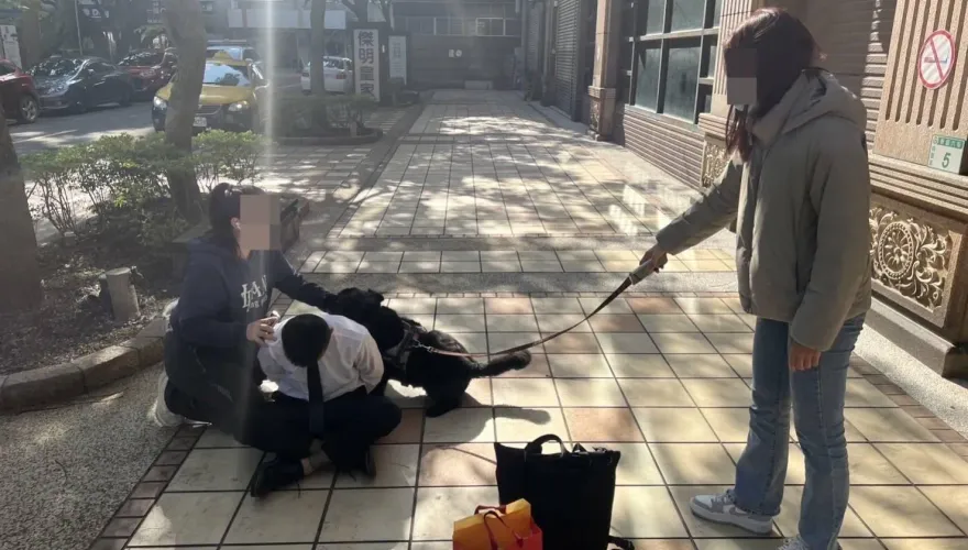 影/終結流浪！桃園婦投資遭誆300萬　警犬「妞妞」公園逮詐建功