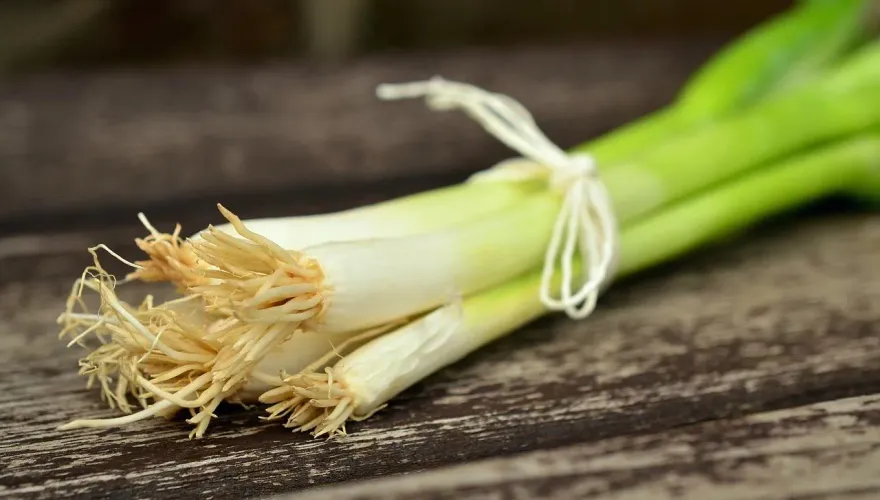 食道癌7年沒復發靠1菜！醫曝能「抑制3癌症」 揭6大好處
