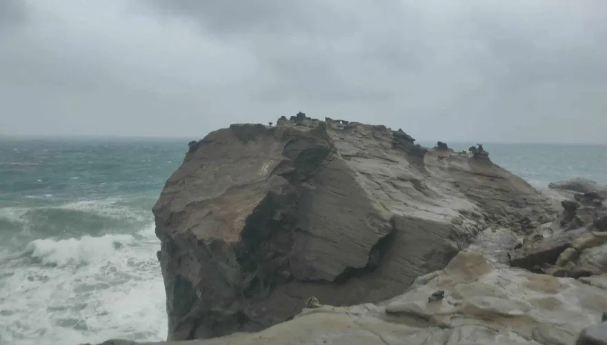 影/新北瑞芳知名景點「象鼻岩」崩塌斷鼻！疑雨勢、海浪太大釀禍
