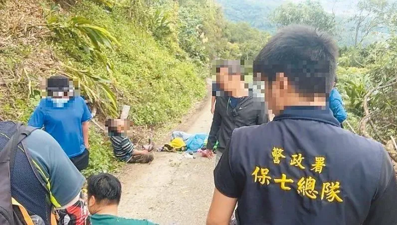 盜採國有地逾10萬元牛樟芝！　花蓮山老鼠「案件還在審」又被逮...還辯自用