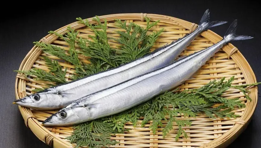 台灣秋刀魚竟變「日本產」！日本連鎖超市1年狂賣近5千盒　業者道歉