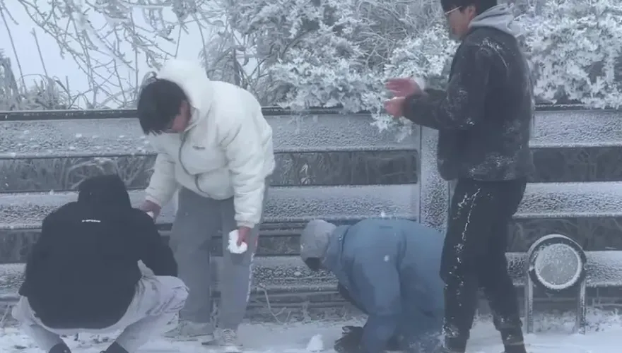 快訊/太平山清晨積雪1公分！學生嗨翻「打雪仗」實現賞雪自由