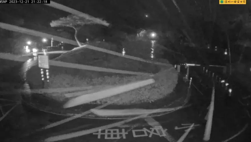 影/跌破10度！陽明山二子坪「疑似飄雪」　即時影像曝光