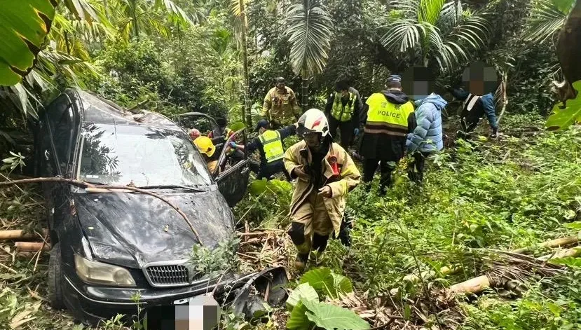 快訊/載3友下山遇死劫！嘉135-2鄉道車墜30米深坡　「顱出血」2死2傷