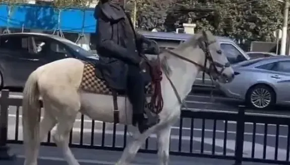 陸男上海街頭騎馬被警攔下開罰　網嘲：馬路不能讓馬走
