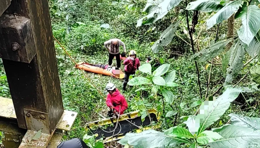 影/阿里山73歲老翁墜橋！跌落約5米深邊坡　警消吊掛救援