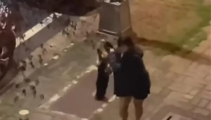 惡女虐狗惹公憤！飼主家被扔雞蛋辯稱「親人過世」