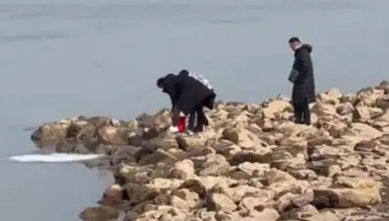 詭異團體聚集江邊「放生牛奶」！稱儀式能求福報　離譜影片惹全網怒