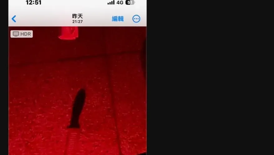 快訊/「真的有刀」！高雄跨年現場舞台旁發現水果刀…警方這麼說