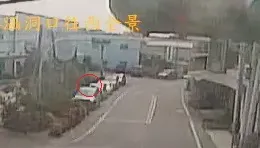 超貴「烏魚子」曬車頂遭竊！警調監視器追兇手竟是「喵星人」叼走
