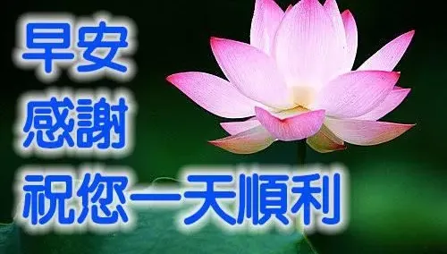 別小看長輩圖！專家曝「經常性社交清單」可降憂鬱症風險