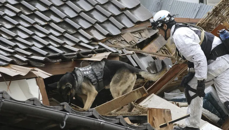 汪汪隊立大功！能登強震搜救犬發揮靈敏嗅覺　瓦礫堆中接二連三發現受困民眾