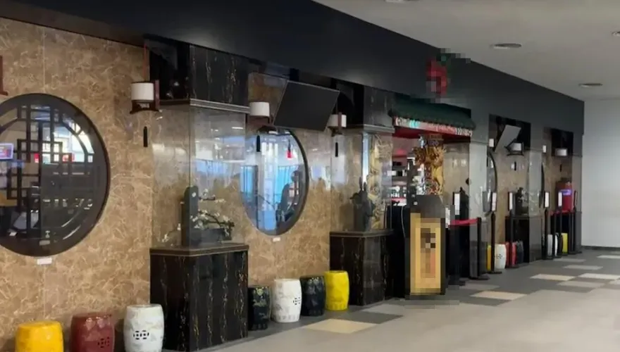 噁爆！台中迴轉火鍋店豆皮藏「7隻活蟑螂」　食安處稽查勒令改善