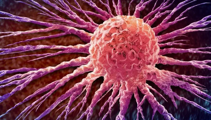 中年男越南戲水染「類鼻疽」！敗血症險喪命四肢截肢