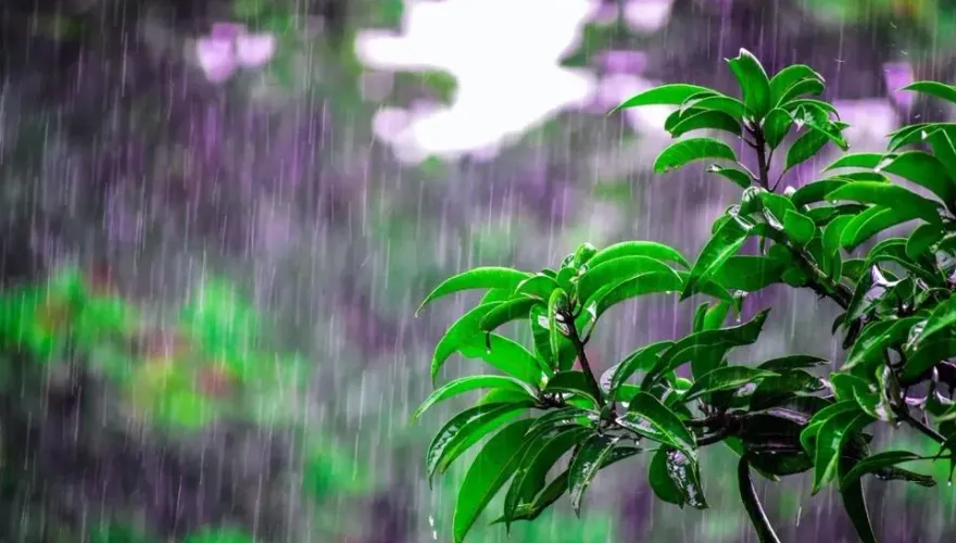 快訊/大雨來襲！2縣市雨彈炸到入夜　慎防雷擊、坍方