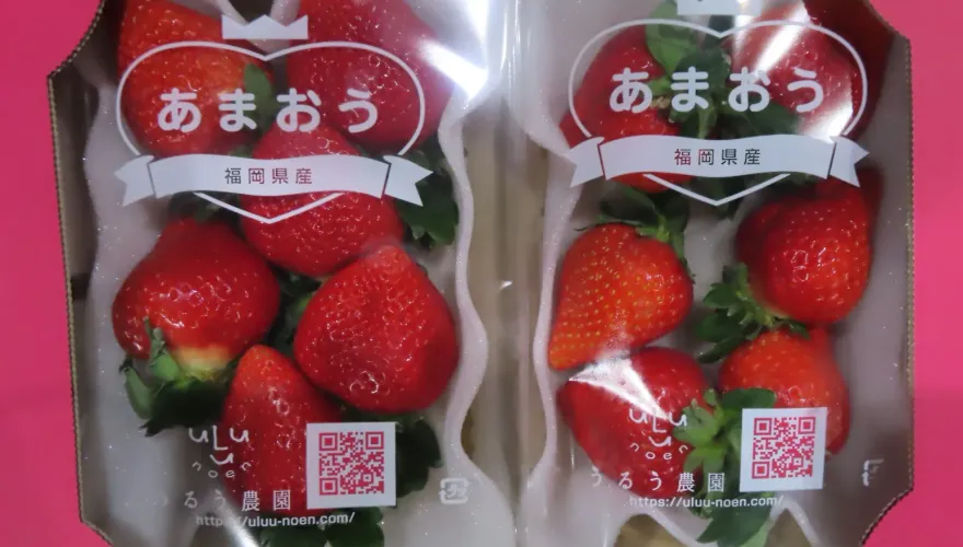 快訊/日本草莓5批不合格！食藥署宣布「5大製造廠」禁止輸台1個月