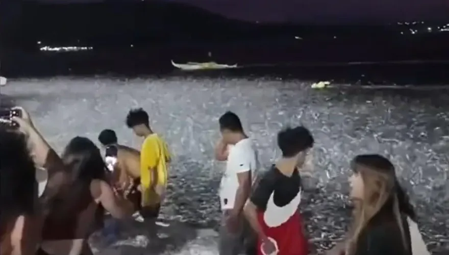影/天災前兆？菲律賓6.7強震前海灘驚現「成堆沙丁魚」專家解惑