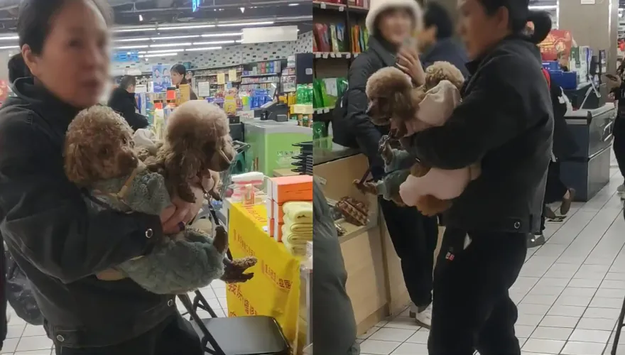 影/狗仗人勢！毛孩超市內亂撒尿店員好心提醒　腦殘主人嗆「給狗道歉」