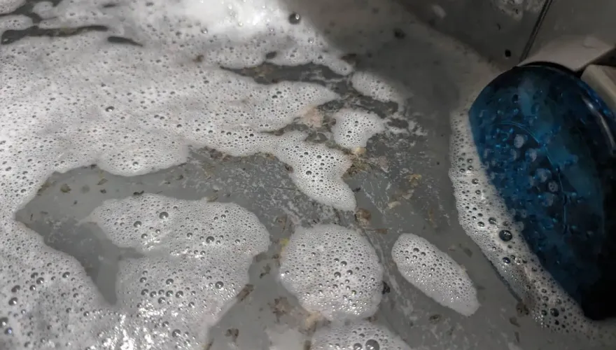清洗衣機「洗出一堆黑色髒屑」！內行人曝：這1物最有效