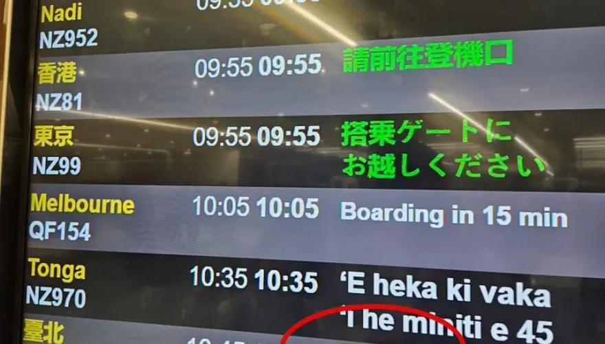 投票日趣聞！紐西蘭航空「看板3個字」全網笑翻：超幽默