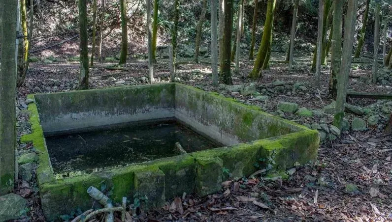 蓄水池未敲毀！13隻動物為覓食冤死　廢棄地慘成亂葬崗