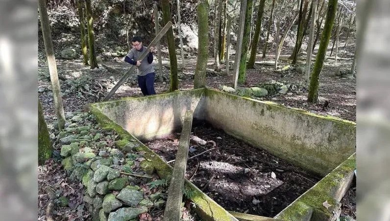 貓頭鷹也逃不過！廢棄蓄水池成奪命陷阱　石虎跌入只能等死