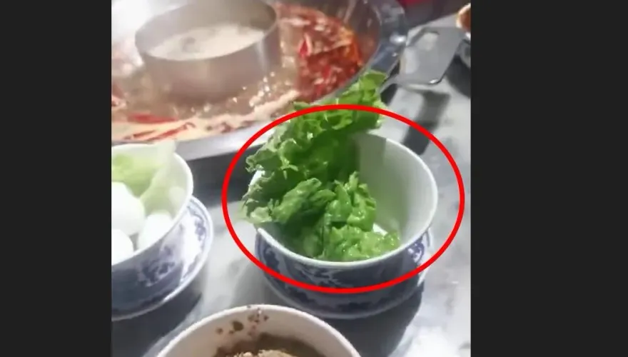 影/整人嗎？女子點740元火鍋套餐　一份菜竟僅「一片葉子」