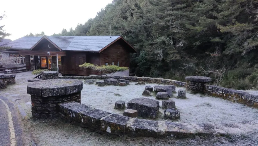 影/宛如仙境！玉山塔塔加園區路面結冰「猶撒銀白糖霜」　絕美景象曝