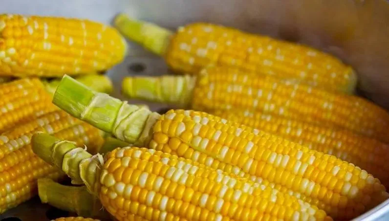 玉米便宜但烤的卻超貴！　網曝主因：100元真的算便宜