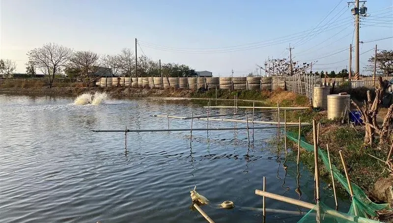 戰「凍」預備！漁業署提醒養殖業者「非常寒冷」　多顧魚塭免寒害