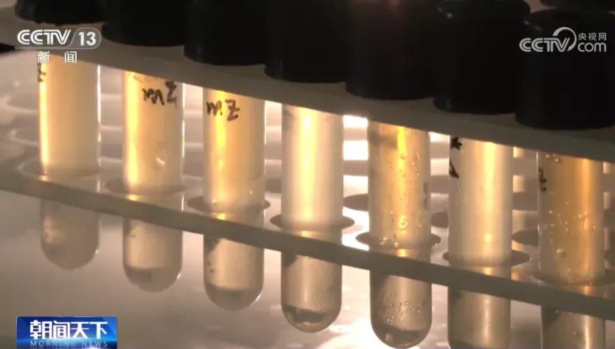 探究外星生命！天舟七號攜「厭氧古菌」上太空　測試極端環境能否存活