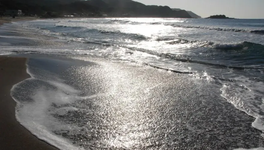 大自然的威力！日本能登半島災區海岸驚現「哥吉拉上岸」　網友驚喜：讓它來募款！