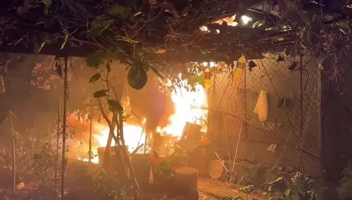 影/苗栗工寮煮燕麥陷火海　30隻家禽變「烤雞」主人痛心