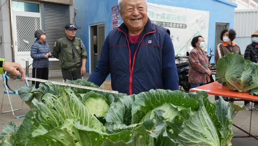 影/單顆最重18.8斤封王！澎湖烏崁高麗菜王「比人臉大」