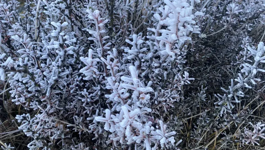 追雪前先搞懂！「雪、霰、霜、霧淞」形成過程、質地大不同