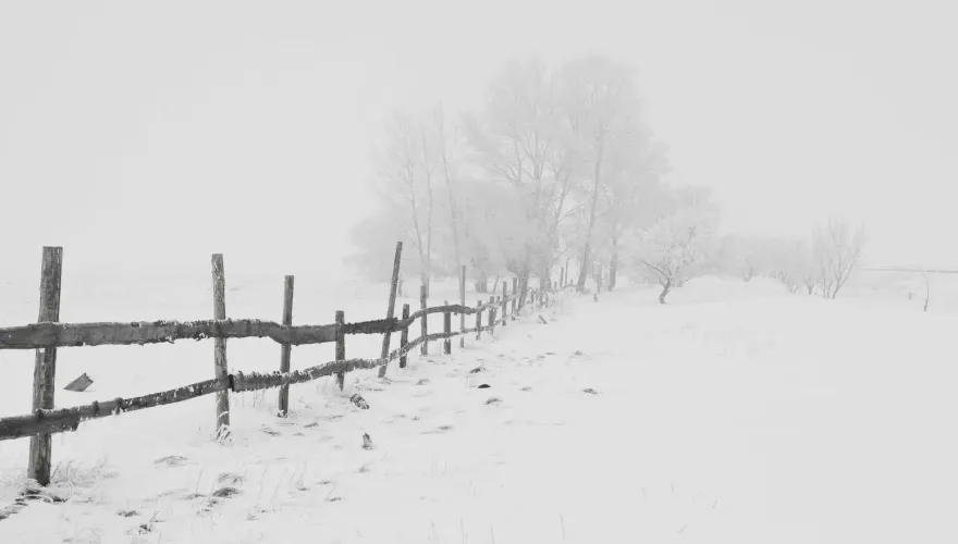 快訊/下雪倒數計時！合歡山頂、玉山17:00「跌破0度」