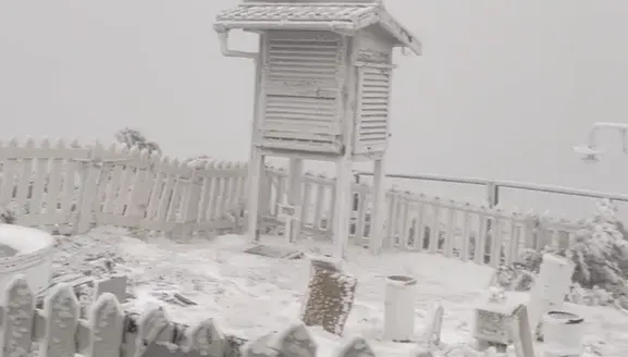 影/玉山下大雪！銀白世界零下4度　美景盡收眼底