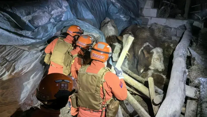 影/ 7.1強震夜襲新疆！6傷47屋慘塌「逾2千人擠體育館避難」大橋驚現裂縫
