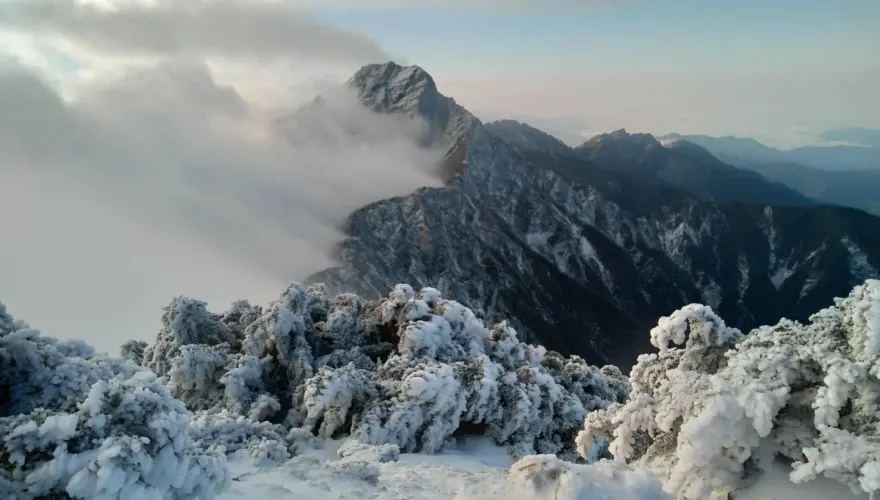 影/圖多！玉山今晨-11°C「雪白夢幻世界」超美　氣象站「人工除雪」影片曝光