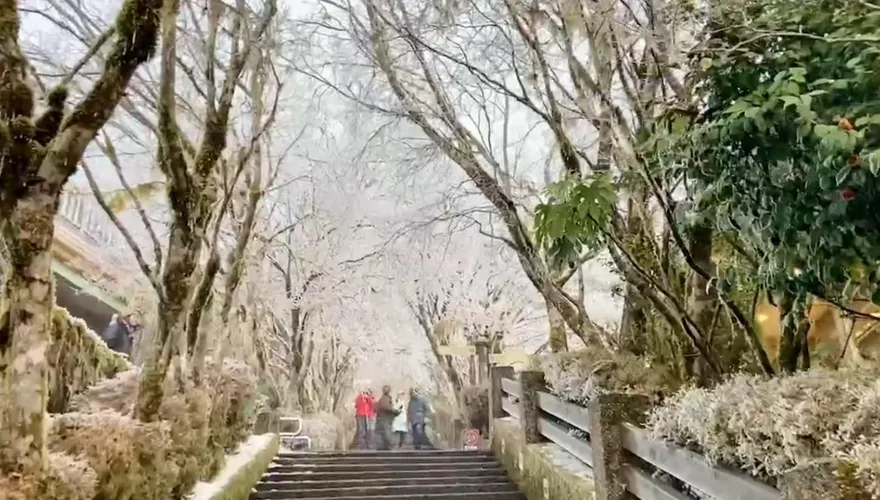 影/太平山霧淞美景如仙境！雪停後體感下飆-6°C　上山不需掛雪鏈