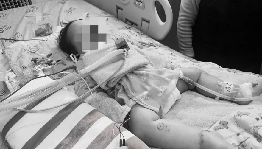 11月大男嬰遭濕口罩悶死擇日解剖　家屬同意器捐「心臟遺愛人間」