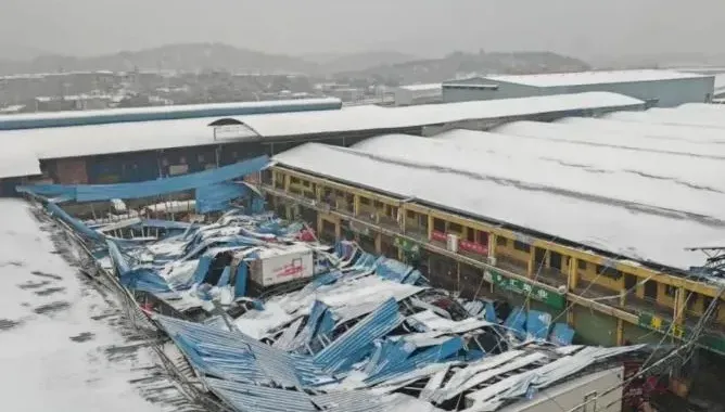湖南暴雪持續肆虐！果菜市場頂棚被壓垮　大樹「連根拔起」倒塌