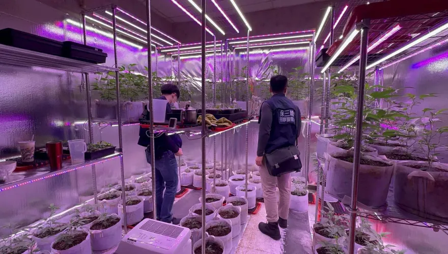 影/台南小吃店暗藏大麻農場！警員喬裝路人率警犬「馬肯」立大功
