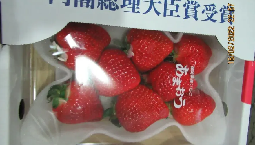 食安「又双叒」轉彎！草莓用藥放寬　李彥秀：別因國際壓力傷害民眾健康