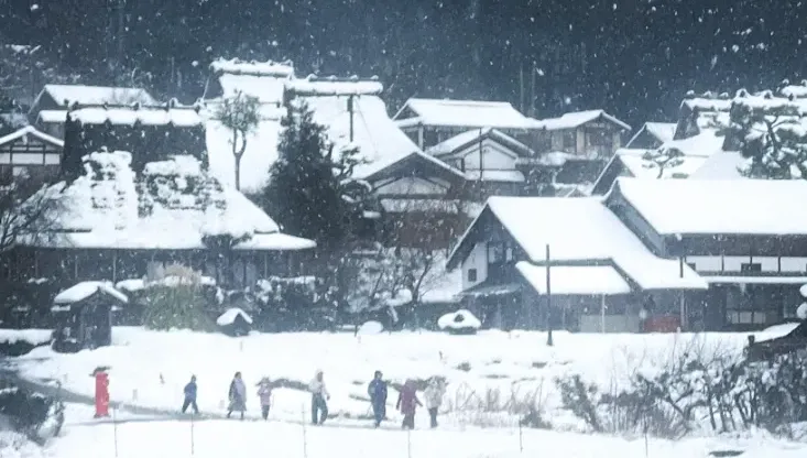 台灣團赴小合掌村「超脫序」！小孩雪球亂砸、大人無視　秒惹火她：變菜市場