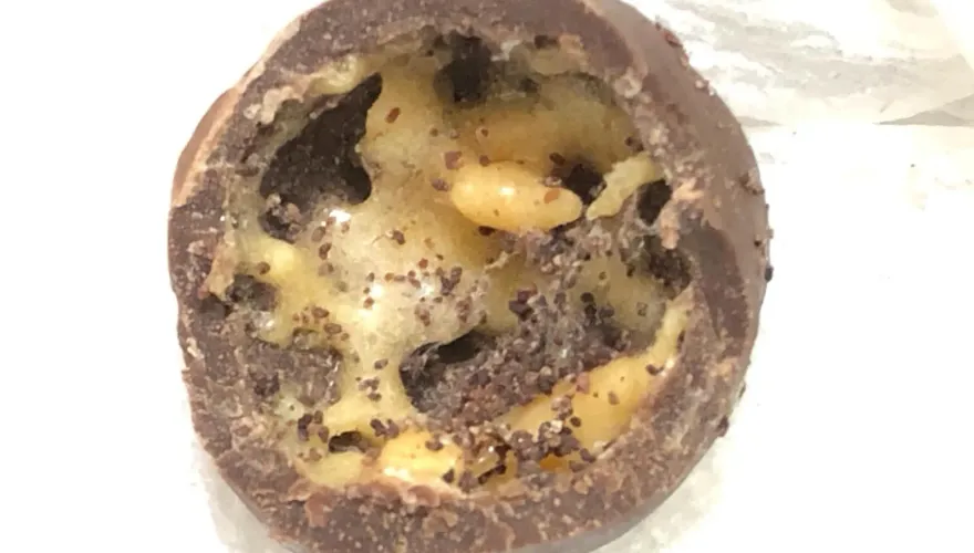 好噁！女兒剝開巧克力球「驚見蟲卵密密麻麻」　媽媽嚇傻：暫時不想吃了