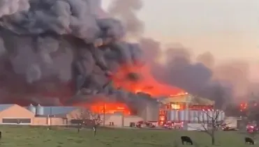 真成「德州炸雞」！美養雞場爆炸引發大火　消防員：恐將延燒數日